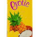 CHIvita Exotic Pineapple & Coconut Nectar 1L